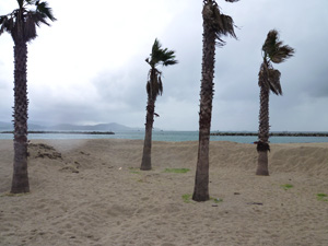 片男波海岸