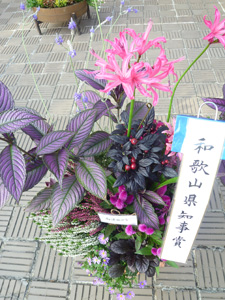 花いっぱい推進協議会花の展覧会