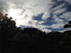 お墓参り