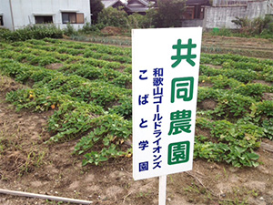 共同農園