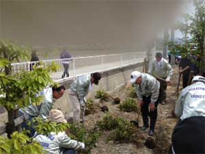 アースデー植樹
