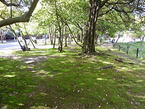 清掃活動