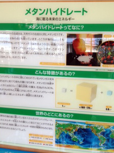 EEパーク