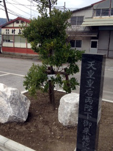 太平洋セメント