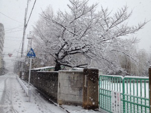 大雪