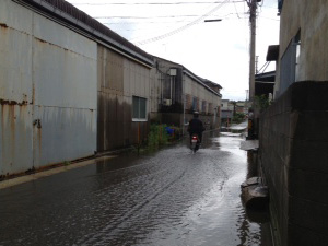 台風現場