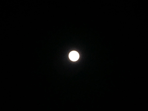 満月