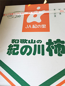 紀の川市の柿
