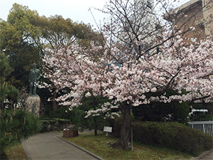 年度末異動