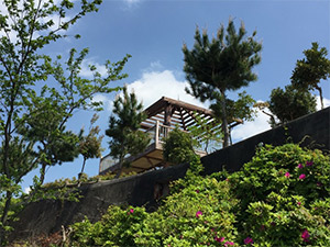 高津子山