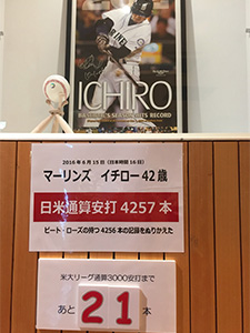 わかやまスポーツ伝承館