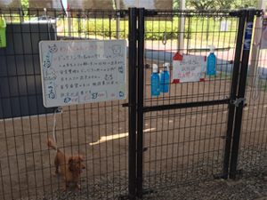 益城町避難所ドッグラン