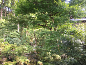京都大原三千院