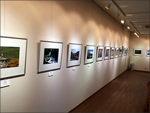 写団ウエスト写真展