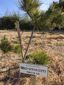 水軒の浜植樹