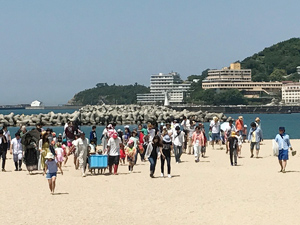 片男波地引網