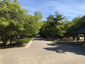 竈山神社の清掃