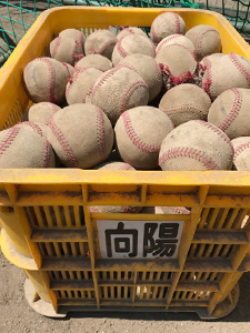 向陽高校野球部