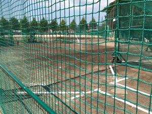 向陽高校野球部