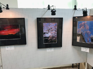 三田フォトクラブ主催写真展