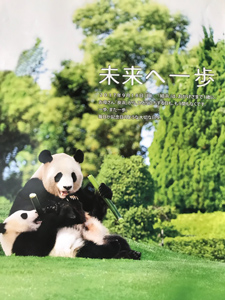 年次大会準備委員会