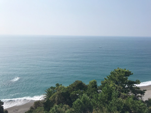 桂浜の景色と海