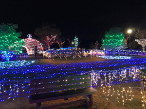 貴志川町平池イルミネーション