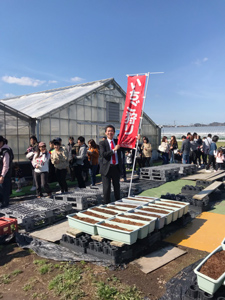 いちご狩り