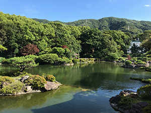 ささゆり会研修会 中野酒造日本庭園