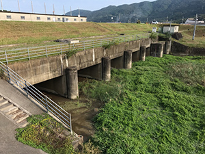 徳島県ほたる川視察