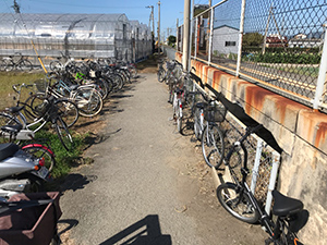 駅周辺の自転車