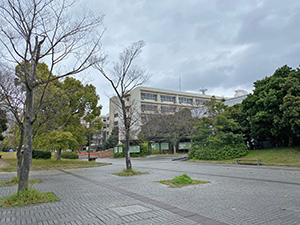 和歌山大学