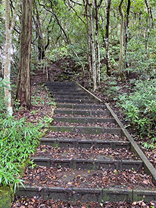 太刀ヶ谷神社
