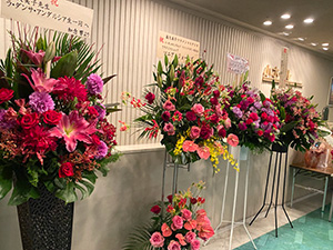 アンダルシアの夢・2020