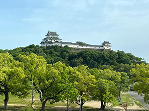 和歌山城