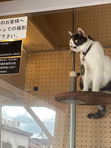 陸奥宗光伯と和歌山名刹三社参り