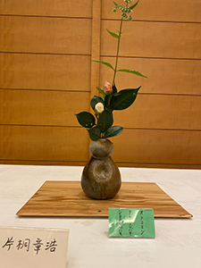 茶花展