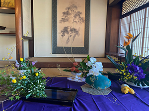 コラボ展