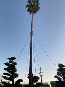 向陽高校同窓会