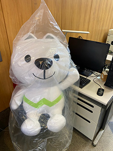 きいちゃん