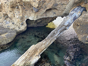 島根県視察2