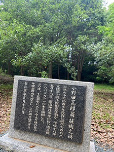 小野田寛郎翁植樹記念石碑建立一年祭