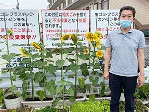 大川小学校のひまわり