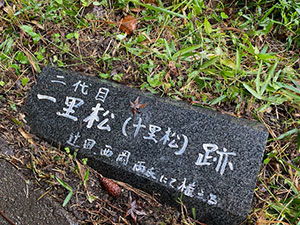 十里松