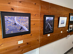 写真展