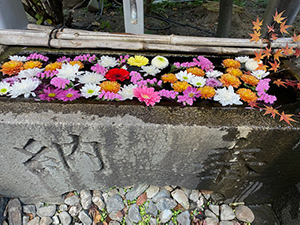 多賀神社