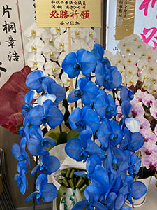 叱咤激励の会の準備