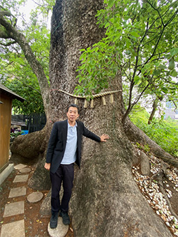 和歌山城内 和歌山県指定文化財 天然記念物 大楠