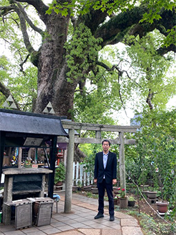 和歌山城内 和歌山県指定文化財 天然記念物 大楠