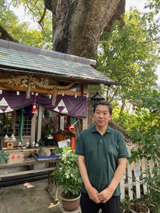 和歌山城の大楠